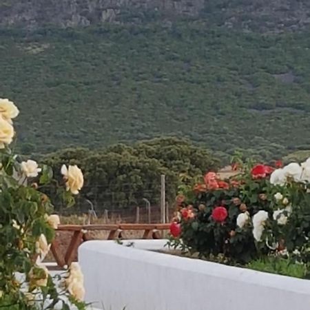 Finca La Rinconada Calamonte Exteriör bild