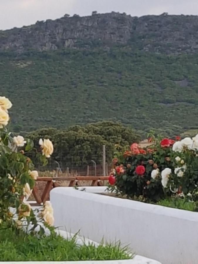 Finca La Rinconada Calamonte Exteriör bild